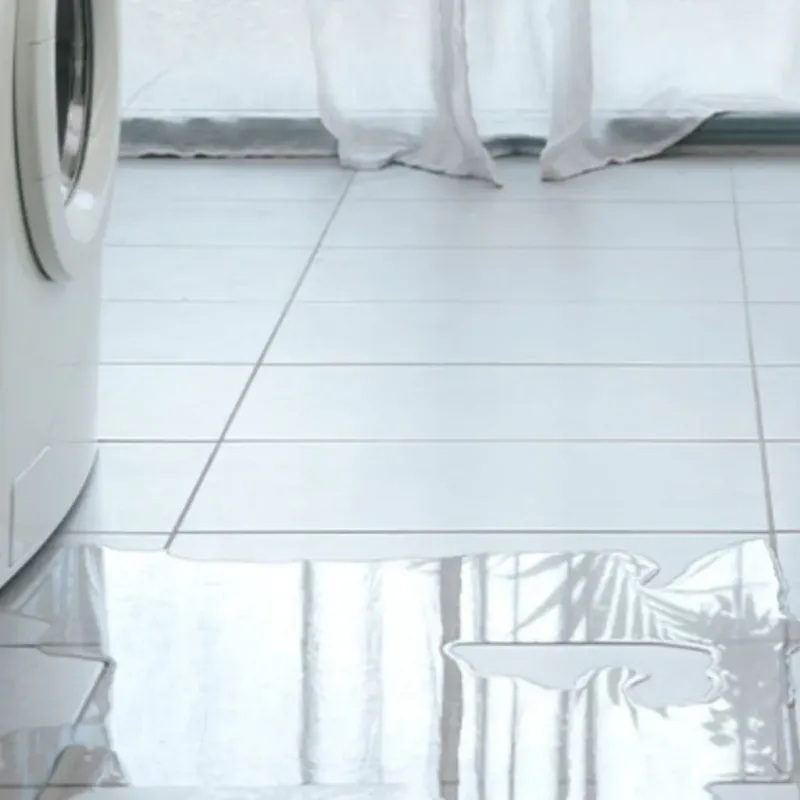 Appliance Leak Cleanup in Missoula, MT