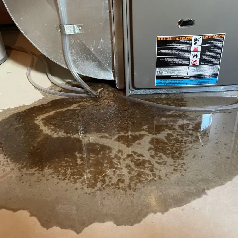 Pipe Burst and Leak Restoration in Missoula, MT